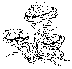 p041.GIF (4175 bytes)