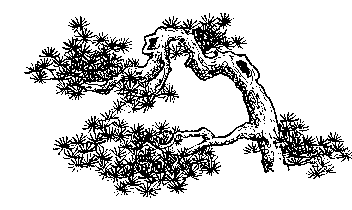 p025.GIF (4733 bytes)