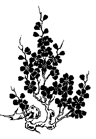 p023.GIF (2877 bytes)