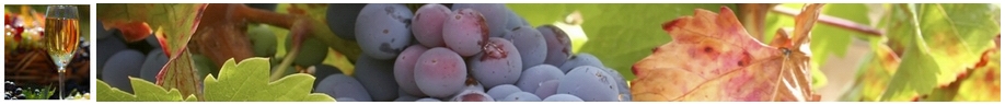 Quality Australian Wine