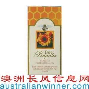 佺500mg 100װ BEE PROPOLIS