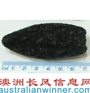 ɺ,ԭAustralian Dried Sea Cucumber